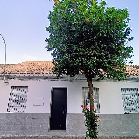 El Patio De La Alcaidesa Villa Córdoba Buitenkant foto